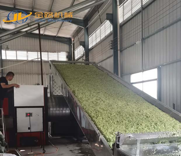 Cucumber Drying Operation for a Guangxi Client