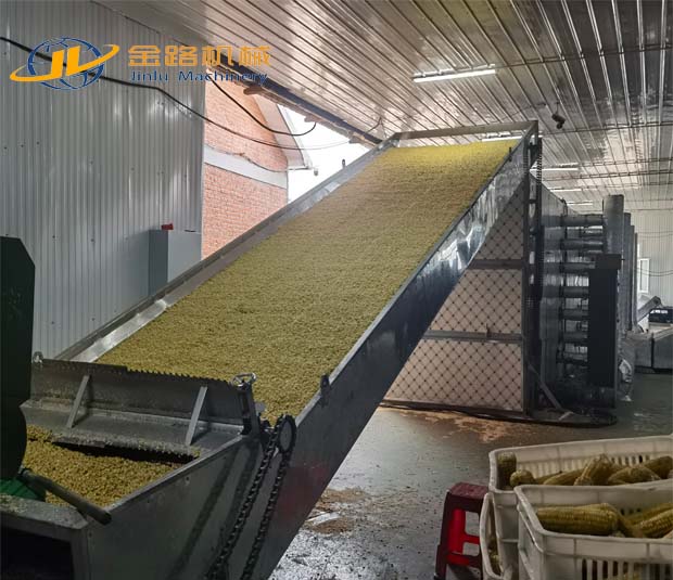 Corn Kernel Drying
